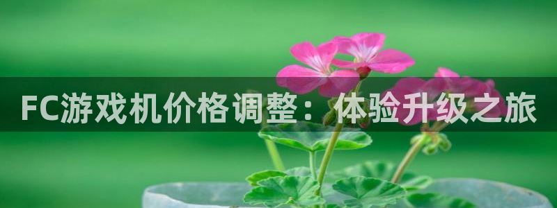 新宝GG子股价：FC游戏机价格调整：体验升级之旅
