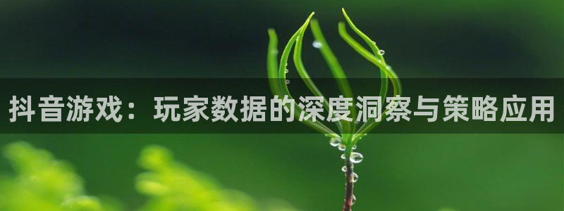 新宝GG官网解绑银行卡怎么解绑：抖音游戏：玩家数据的深度洞察与策略应用