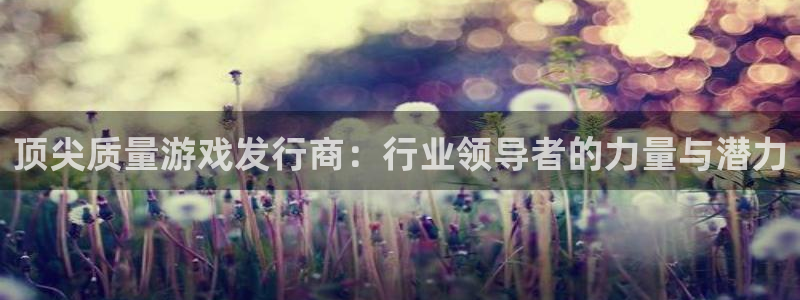 新宝GG官网注册平台是什么：顶尖质量游戏发行商：行业领导者的力量与潜力