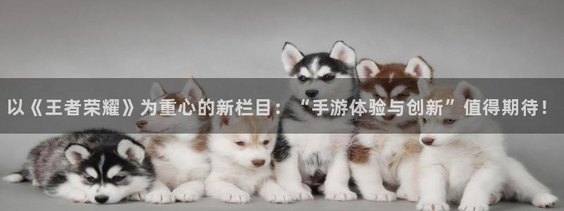 新宝GG好还是红狮好：以《王者荣耀》为重心的新栏目：“手游体验与创新”值得期待！