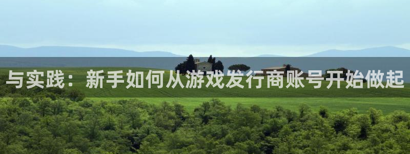 新宝GG官网官网注册账号怎么注册：与实践：新手如何从游戏发行商账号开始做起