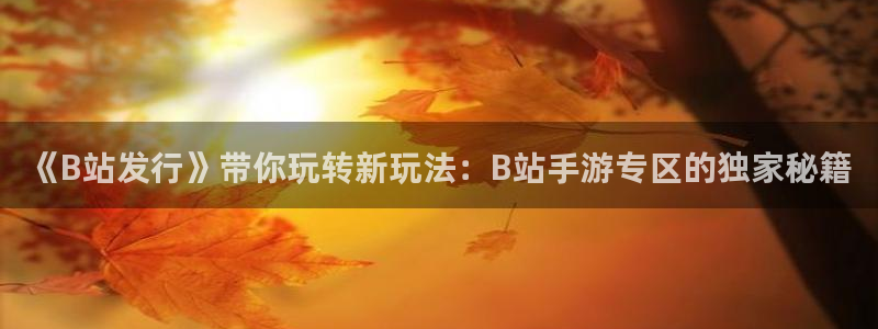 新宝GG官网客服电话是多少：《B站发行》带你玩转新玩法：B站手游专区的独家秘籍