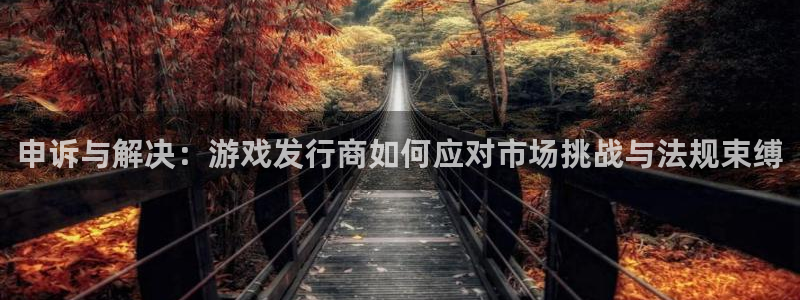 佛山新宝GG电子商务：申诉与解决：游戏发行商如何应对市场挑战与法规束缚