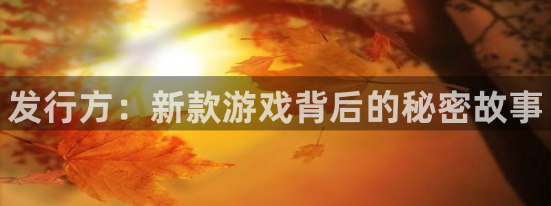 新宝GG子教育科技有限公司：发行方：新款游戏背后的秘密故事