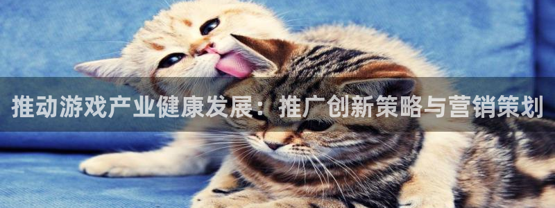 新宝GG官网注册方法：推动游戏产业健康发展：推广创新策略与营销策划