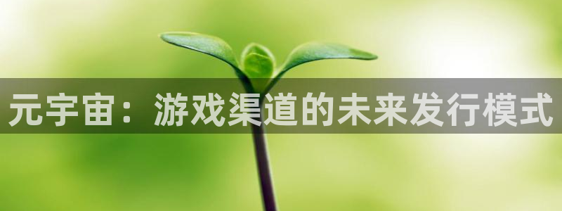 新宝GG电子商务有限公司地址：元宇宙：游戏渠道的未来发行模式