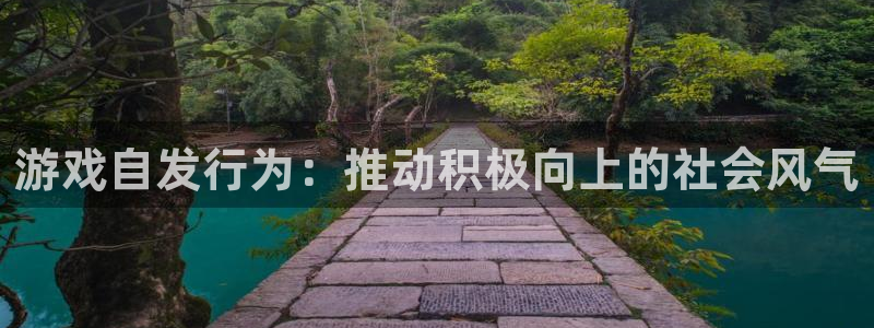 新宝GG官网注册方法是什么：游戏自发行为：推动积极向上的社会风气