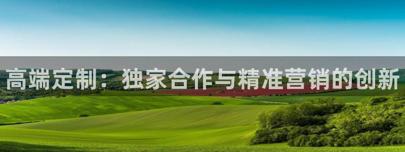 新宝GG官网价 5O6917 新宝GG：高端定制：独家合作与精准营销的创新