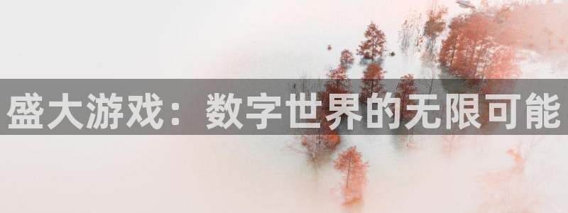 新宝GG工坊：盛大游戏：数字世界的无限可能