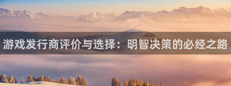 新宝GG子文化是干什么的：游戏发行商评价与选择：明智决策的必经之路