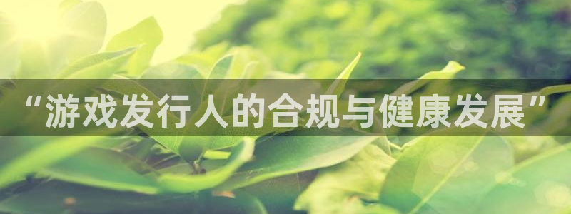 广东新宝GG电子科技有限公司：“游戏发行人的合规与健康发展”
