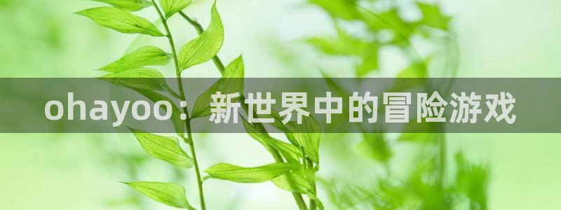 新宝GG官网平台代理开号：ohayoo：新世界中的冒险游戏