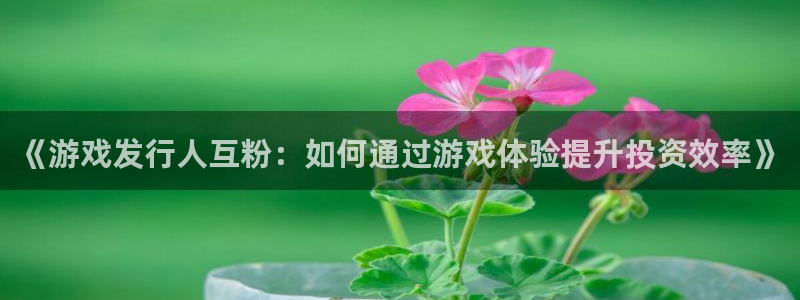 广东新宝GG电子科技有限公司 联系电话：《游戏发行人互粉：如何通过游戏体验提升投资效率》