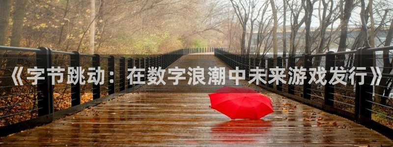我想看新宝GG：《字节跳动：在数字浪潮中未来游戏发行》