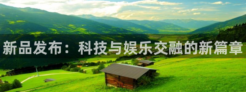 广州新宝GG网络科技有限公司怎么样