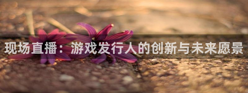 深圳新宝GG电商