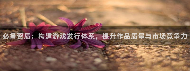 新宝GG官网登录注册不了怎么办：必备资质：构建游戏发行体系，提升作品质量与市场竞争力