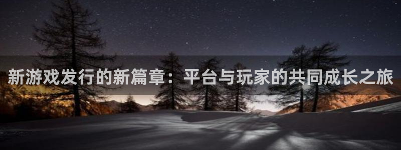 新宝GG电子科技：新游戏发行的新篇章：平台与玩家的共同成长之旅