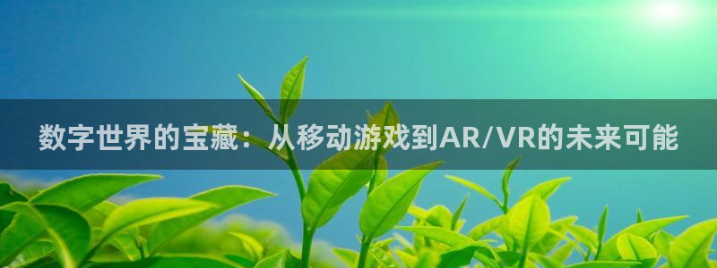 新宝GG官网平台注册账号注意事项：数字世界的宝藏：从移动游戏到AR/VR的未来可能