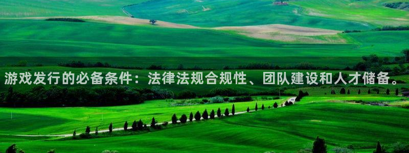 新宝GG官网注册方法有哪些软件：游戏发行的必备条件：法律法规合规性、团队建设和人才储备。