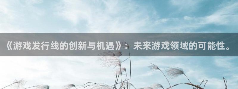 新宝GG子 到底怎么样：《游戏发行线的创新与机遇》：未来游戏领域的可能性。