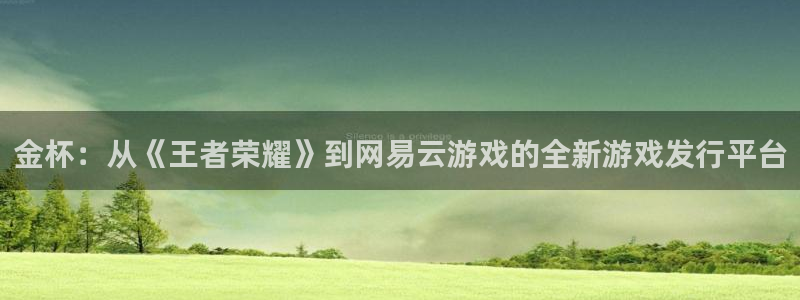 陕西新宝GG子文化创意有限公司是做什么的