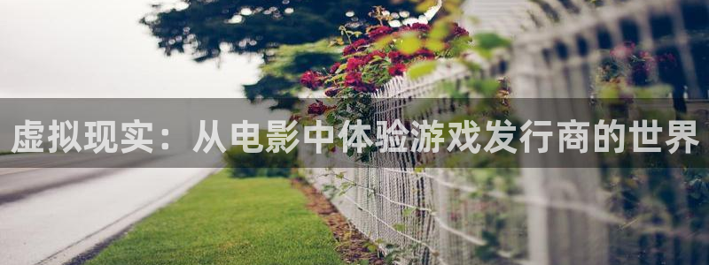 新宝GG子代表什么意思