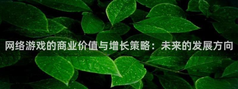 新宝GG官网注册平台官网：网络游戏的商业价值与增长策略：未来的发展方向