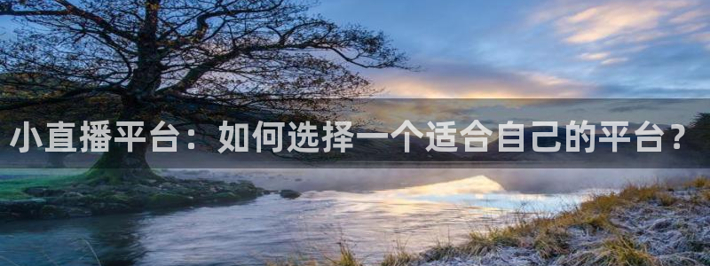 乐球直播nba比赛：小直播平台：如何选择一个适合自己的平台？