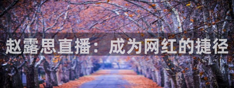 乐球直播无插件nba