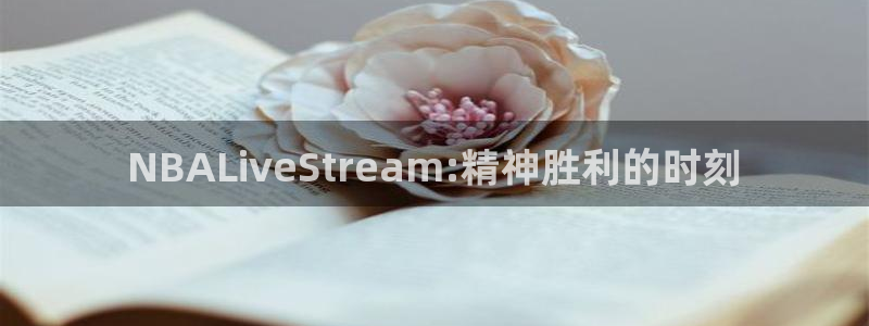 乐球直播nba直播