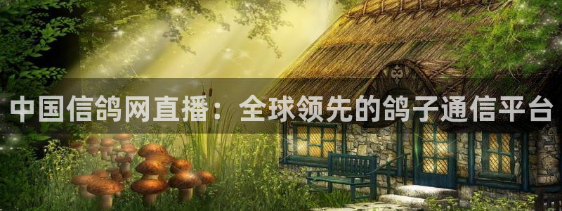 乐球视频直播：中国信鸽网直播：全球领先的鸽子通信平台
