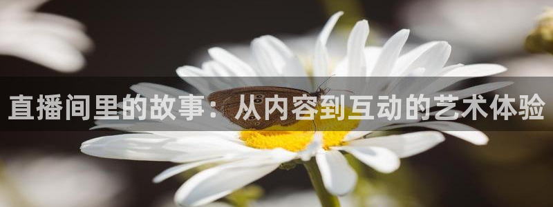 乐球直播nba免费高清观看